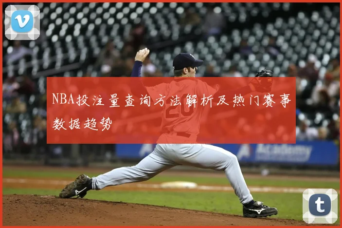 NBA投注量查询方法解析及热门赛事数据趋势