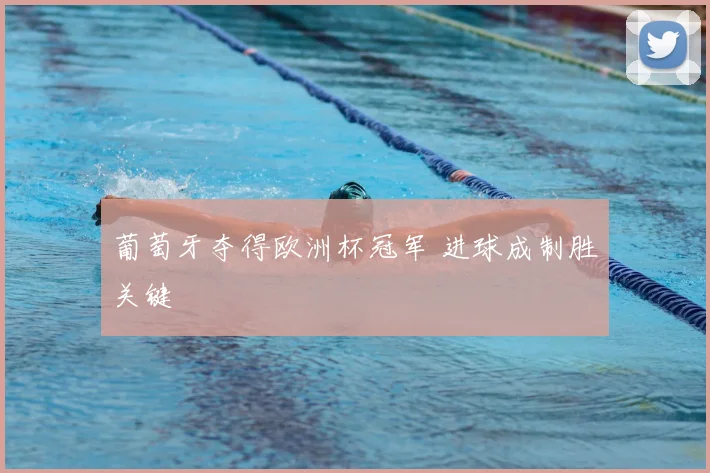 葡萄牙夺得欧洲杯冠军 进球成制胜关键