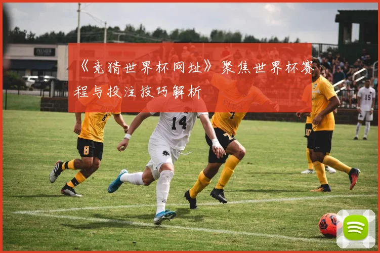 《竞猜世界杯网址》聚焦世界杯赛程与投注技巧解析