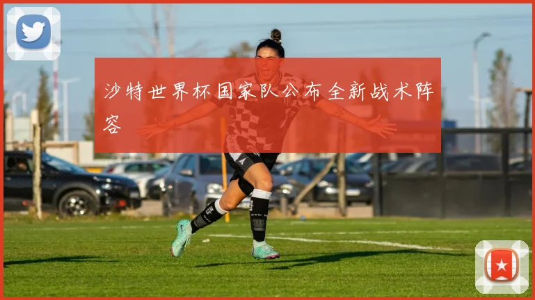 沙特世界杯国家队公布全新战术阵容