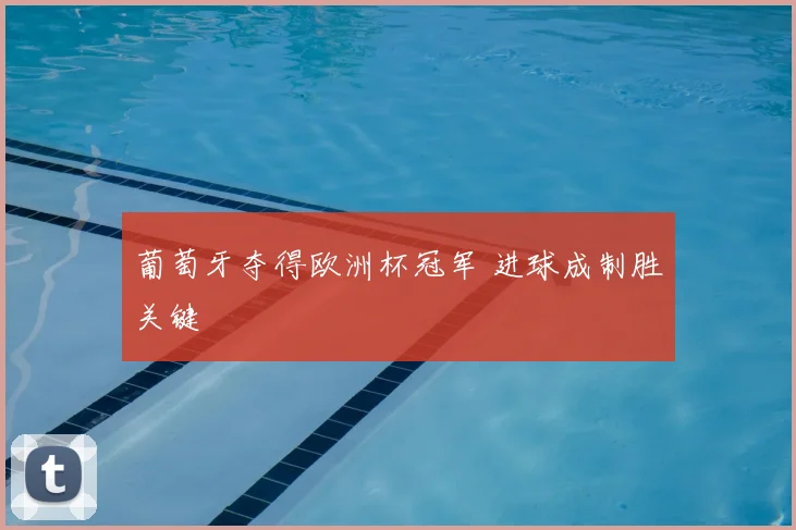 葡萄牙夺得欧洲杯冠军 进球成制胜关键