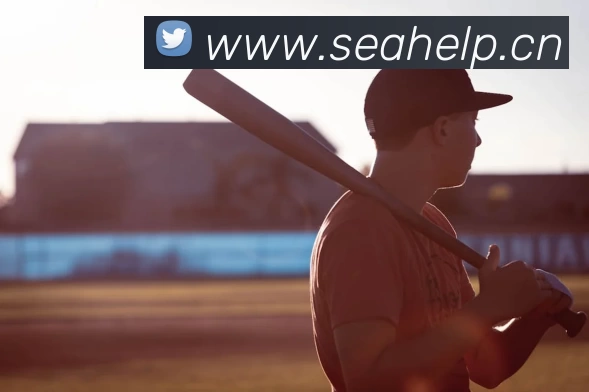 滚球官网app平台生态图